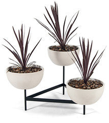 Case Study Cylinder Plant Pot with Tri-Stand