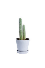 Flowerpot with Saucer by Hay Denmark